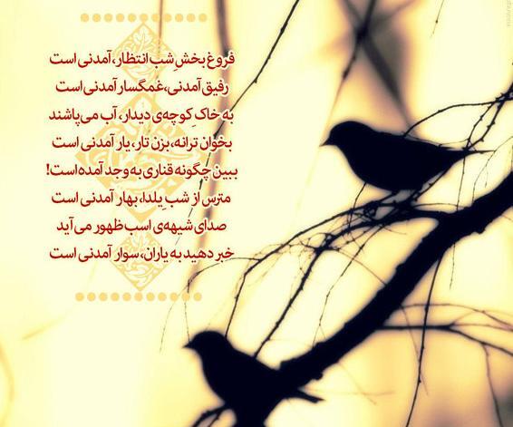 عکس یلدایی امام زمانی
