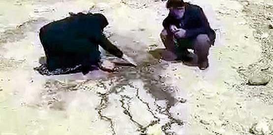 عکس صادق برمکی در سردخانه