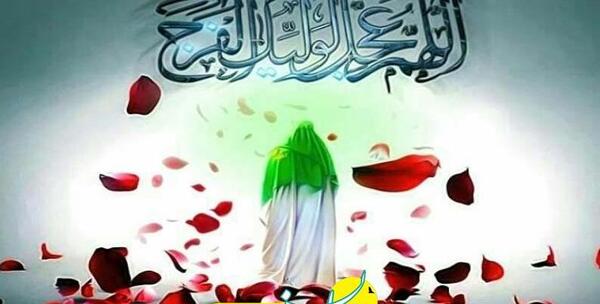 عکس نفس زکیه