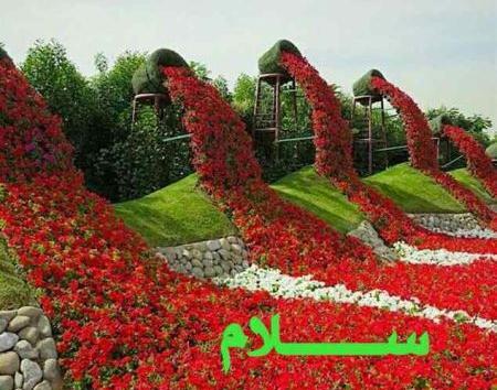 عکس صبح بخیر کانال