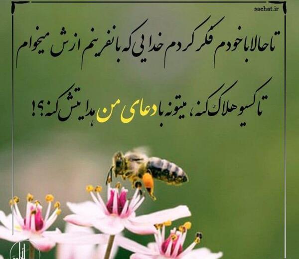 عکس فاطمه لطفی آذر
