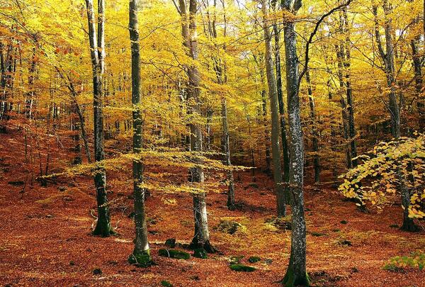 عکس تصاویر زیبای طبیعت کشور سوئد