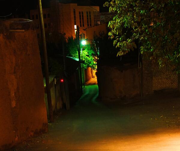 عکس شب در باغ