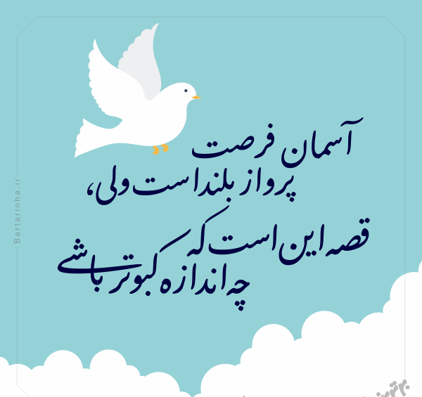 عکس نوشته پروانه به خرس گفت دوستت دارم