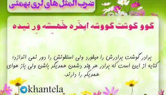عکس ضرب المثل لری