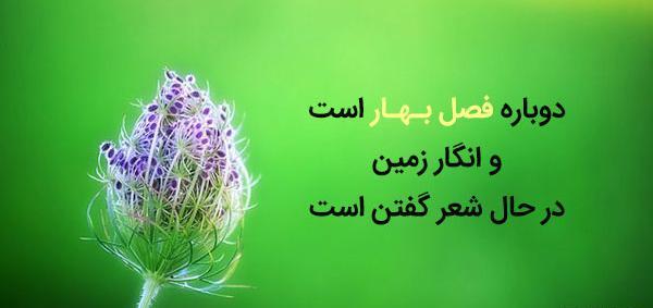 عکس های آمدن بهار