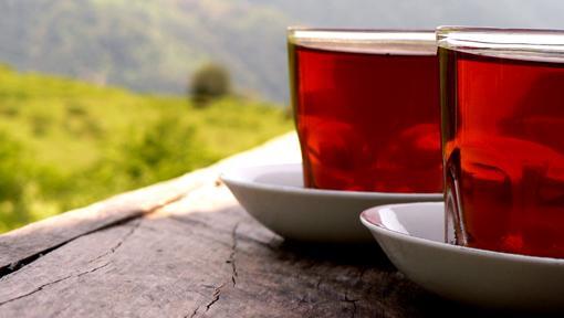 عکس چای لب دریا