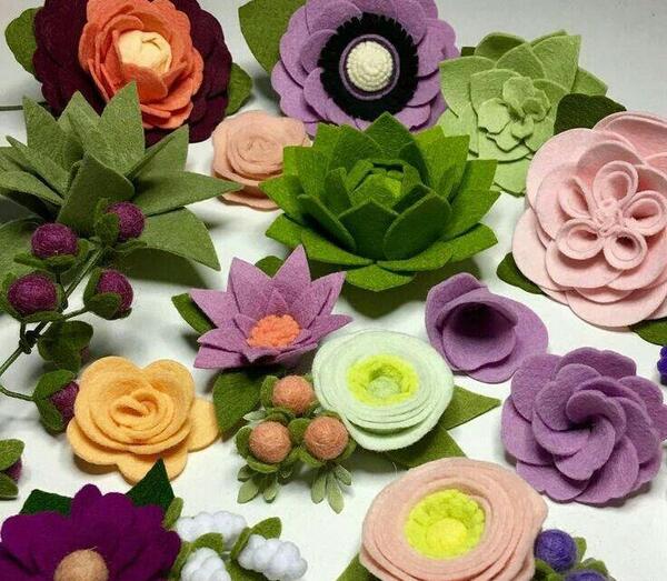 عکس گلهای نمدی زیبا