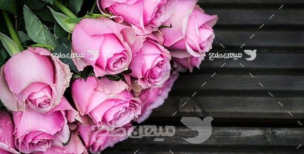 عکس گل رز جدید