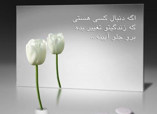 عکس نوشته دنبال چی هستی