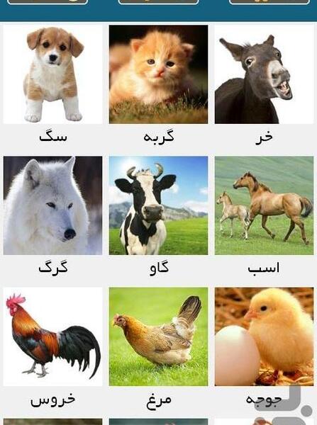 عکس حیوانات برای یادگیری کودکان