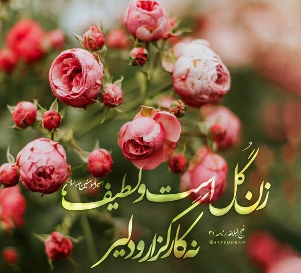 عکس قرآن با گل