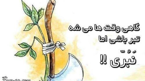 عکس نوشته پسرم را نبرید