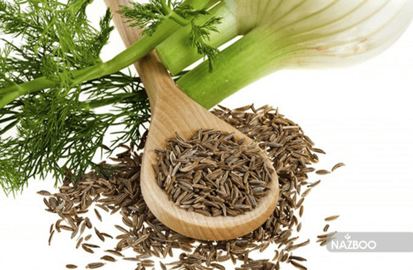 عکس بذر رازیانه