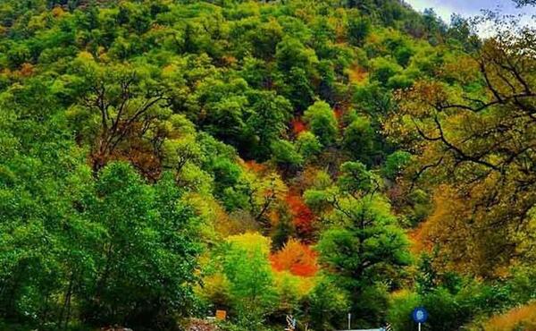 عکس تصاویر زیبا از طبیعت گرگان