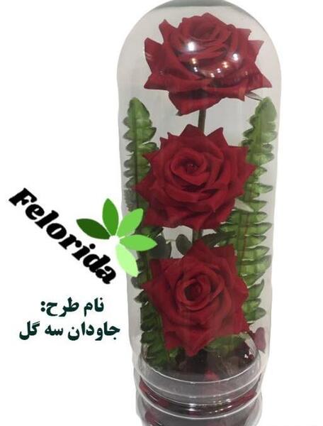 عکس گل رز داخل شیشه