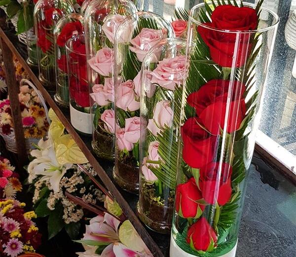 عکس گل رز داخل شیشه