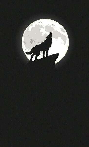 عکس تصویر زمینه پسرانه گرگ