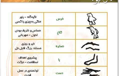 معنی عکس طاووس در فال قهوه