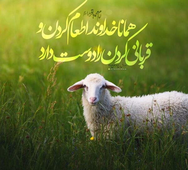 عکس نوشته قربانی
