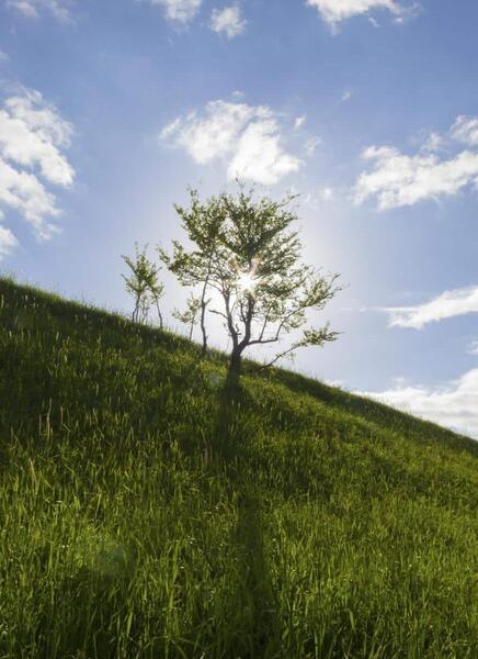 عکس طبیعت برای پروفایل