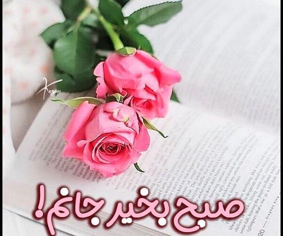 عکس دسته گل صبح بخیر