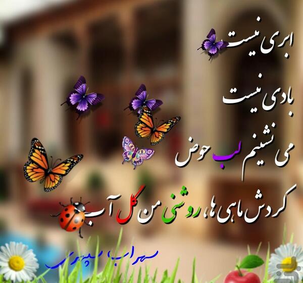 عکس نوشته پروانه ای