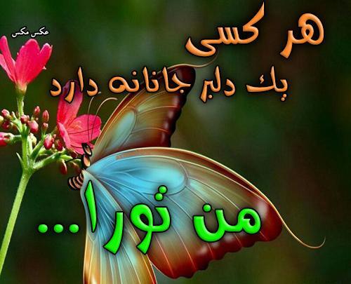 عکس نوشته پروانه ای