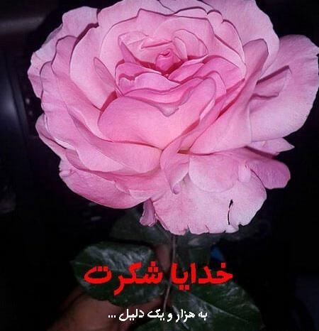 عکس نوشته خدایا شکرت به هزارویک دلیل