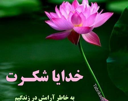 عکس نوشته خدایا شکرت به هزارویک دلیل