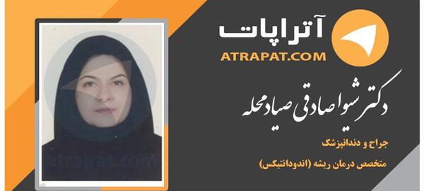 عکس شیوا صادقی