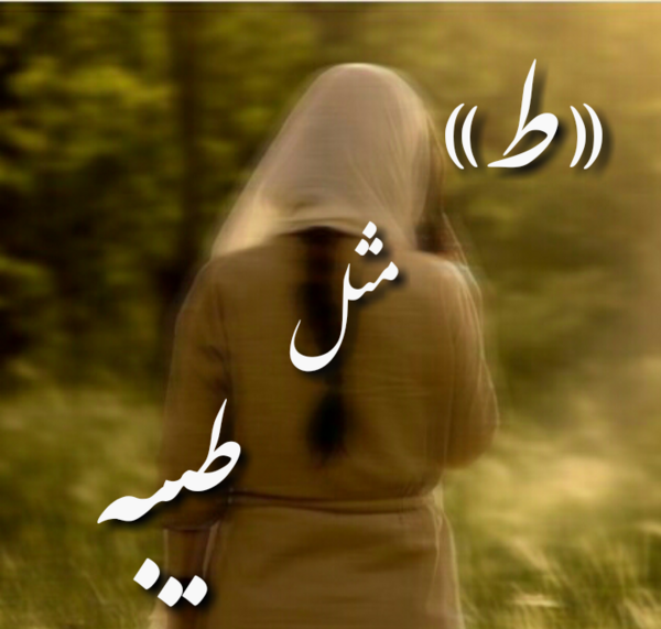 عکس نوشته دوستت دارم طیبه