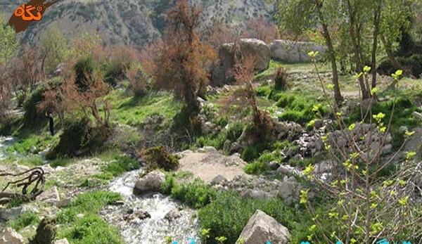 عکس هوایی فیروزآباد فارس