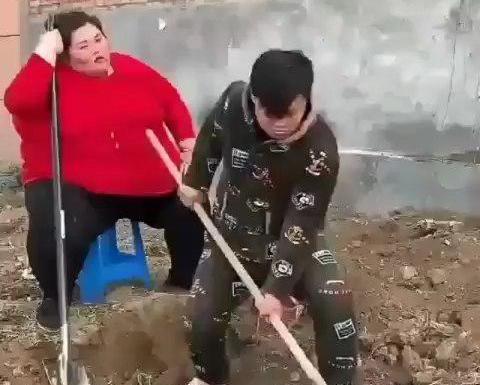 عکس جلال پاپی