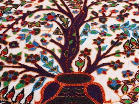 عکس طاووس پته