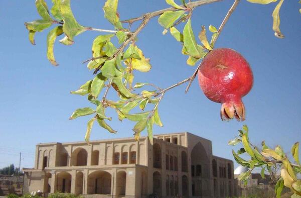 عکس حجت آباد شیراز