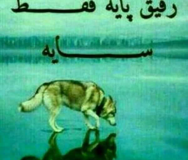 عکس پروفایل پسرانه رفیق