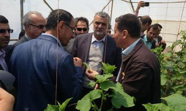 عکس شهر خالدآباد