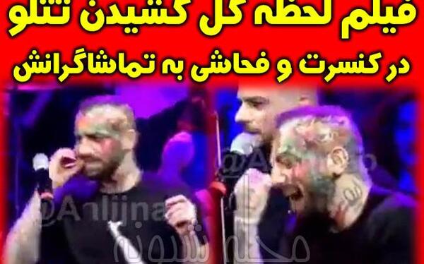 عکس تتلو در حال گل کشیدن
