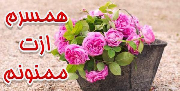 عکس نوشته عاشقانه تشکر از همسر