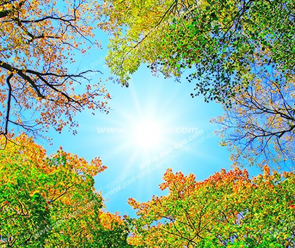 عکس آسمان نارنجی