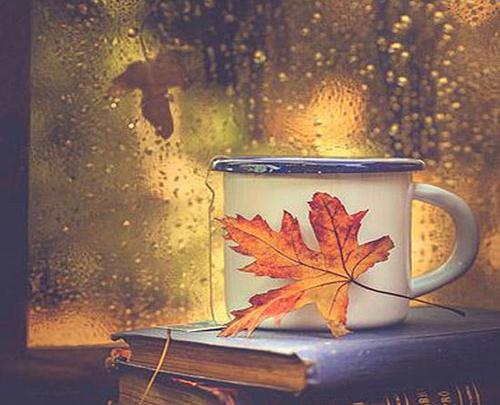 عکس نوشته باران و چای
