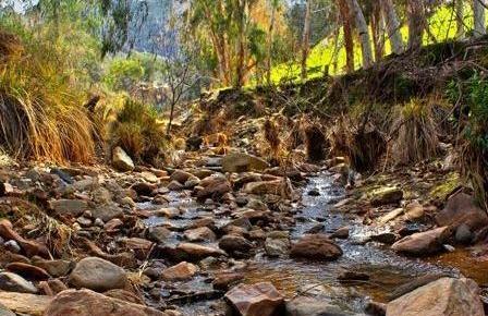 عکس از طبیعت واقعی