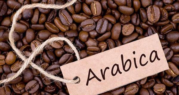 عکس قهوه خام