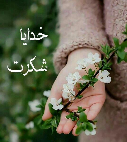 عکس پروفایل شیک نی نی سایت