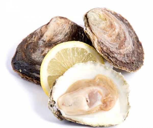 عکس گوشت صدف
