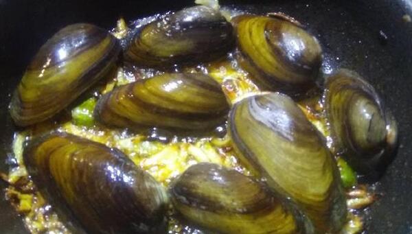 عکس گوشت صدف