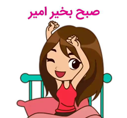 عکس استیکر امیر