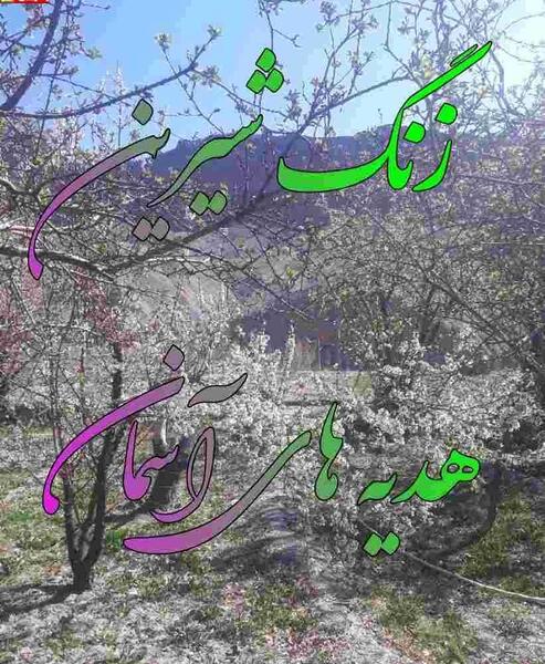 عکس نوشته زنگ هدیه های آسمانی