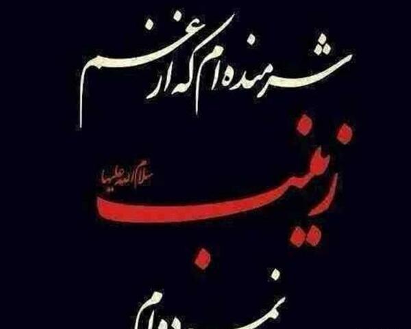 عکس نوشته یا زینب مدد